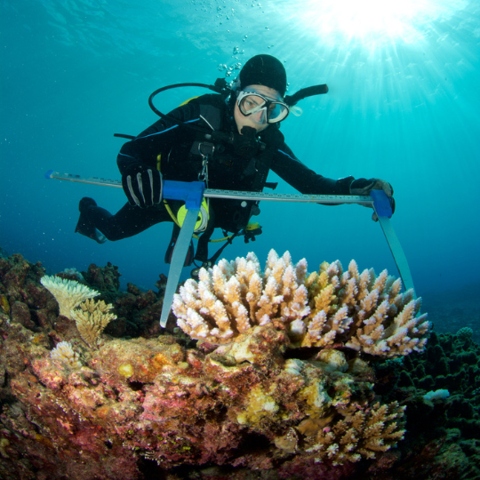 After School: Meet a Marine Biologist